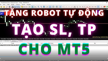Tặng Robot Forex tự động tạo Take Profit, Stop Loss ( TP, SL ) cho MT5