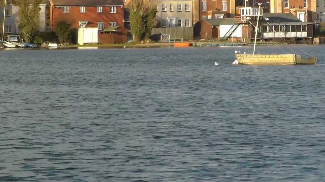 Drayton Reservoir Update 15 Weekend Review YouTube