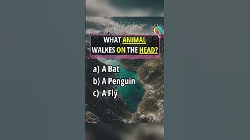 Riddle Quiz for Americans   Comment how many did you get?#quiz #shorts #youtubeshorts
