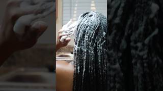 Scalp Massage DURING Loc Wash 🧼 Fall in love with the process | #locjourney #longlocs #locshampoo