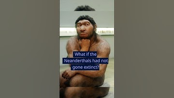 What if the Neanderthal had not gone extinct? #shorts #youtubeshorts #facts #viral #didyouknow #fun