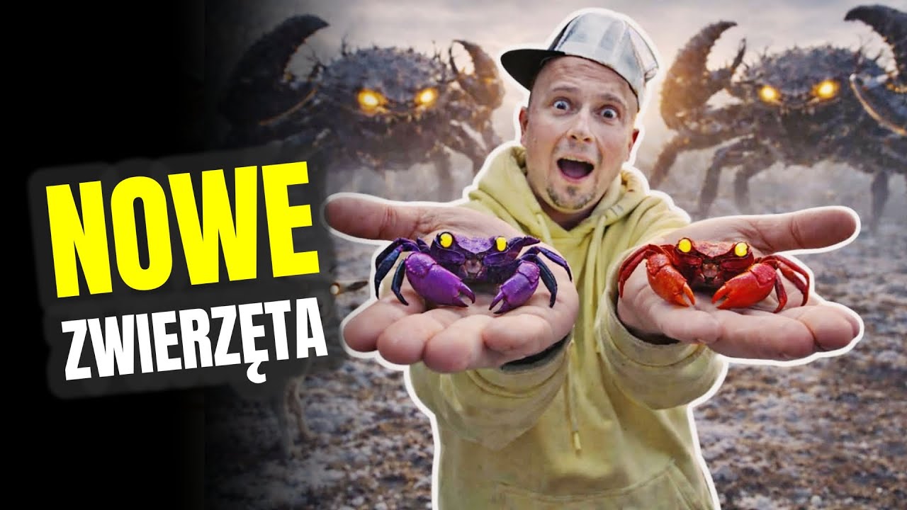 ZAMÓWIŁEM NOWE ZWIERZĘTA ! klują się pisklęta 🐣 MOJE MINI ZOO / odc. 824