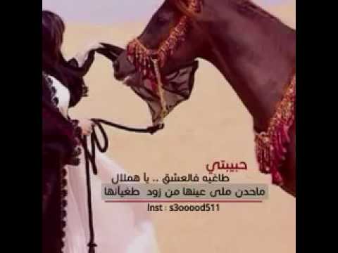 شيله قامت على الشعر