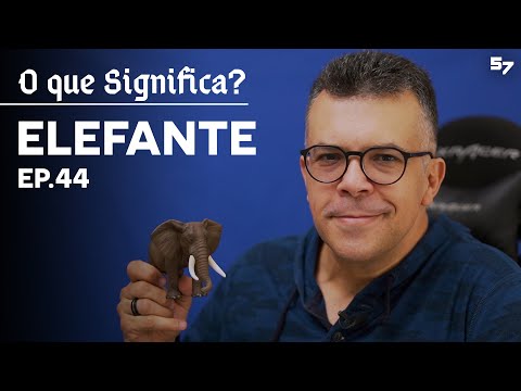 Vídeo: O Que Significa A Frase 