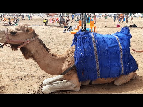 يا سلام على جمال بحر بوزنيقة مع العائلة 