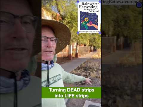 Turning public DEAD strips into LIFE strips with a few volunteers in a few hours