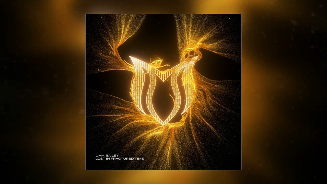 𝕃𝕚𝕒𝕞 𝔹𝕒𝕚𝕝𝕖𝕪 [𝕃𝕠𝕤𝕥 𝕀𝕟 𝔽𝕣𝕒𝕔𝕥𝕦𝕣𝕖𝕕 𝕋𝕚𝕞𝕖]