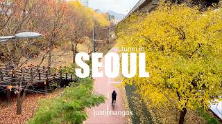autumn in south korea: more cafes and autumn foliage spots in Seoul screenshot 3