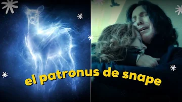 ¿Por qué Snape tenía el mismo patronus que Lily?