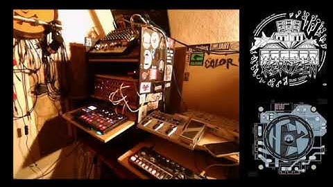 No2 - Live Tribe 2022