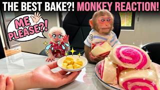 Cute Baby Monkey So HAPPY Eating Mom's Special Recipe Cake!