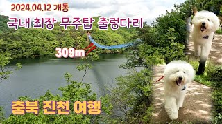 우리나라에서 가장 긴 무주탑 출렁다리 개통!! 멋진 풍경과 짜릿한 스릴을 즐기자 ㅣ미르309출렁다리 ㅣ진천농다리 ㅣ농암정 ㅣ충북 진천 꼭 가봐야하는 곳!!