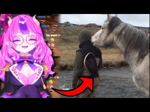 Ironmouse Reacts to Daily Dose of Pets