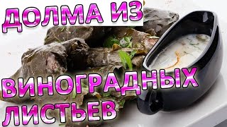 Долма из виноградных листьев Долма из виноградных листьев