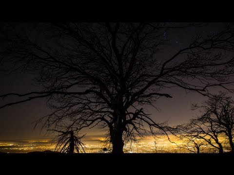 Video: Mark Lanegan Neto vrednost: Wiki, poročen, družina, poroka, plača, bratje in sestre