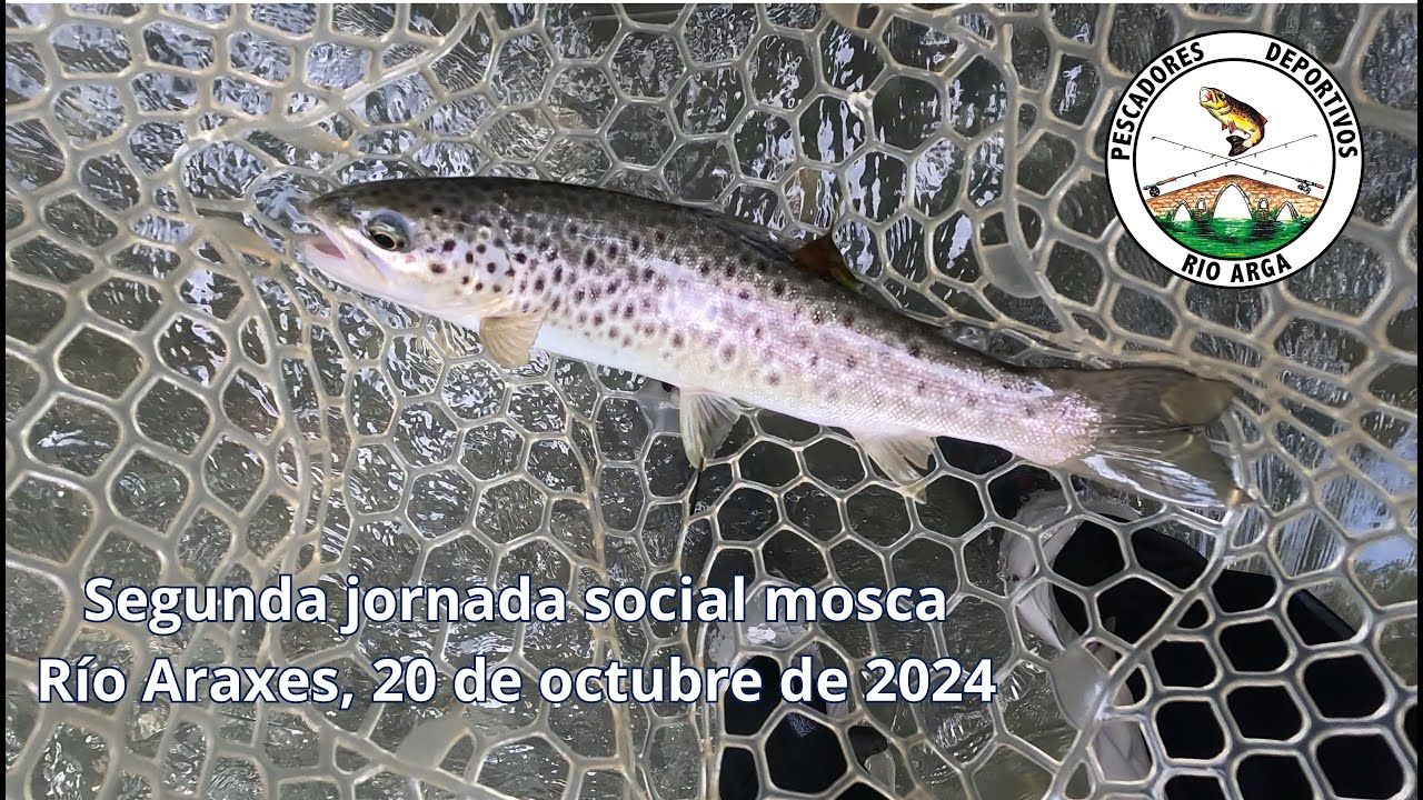 Segunda jornada campeonato social mosca en el río Araxes, 20/10/2024