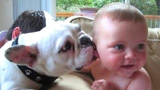 Babies Meeting Animals For the first time and Hilarious Reactions   Funniest Home Videos by BabiezTV 19,979 views 9 months ago 5 minutes, 36 seconds