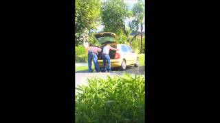 Lashas Nervebis Ushlian Guja Da Zura 1 Seria D