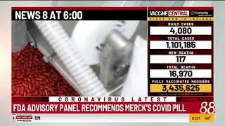 FDA advisory panel recommends Merck's COVID pill