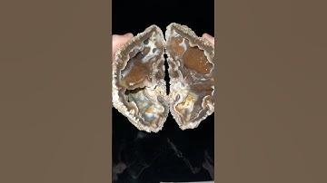 Huge surprise inside this ancient coral fossil geode we found! @CoralGeodes #rare #agate #crystals