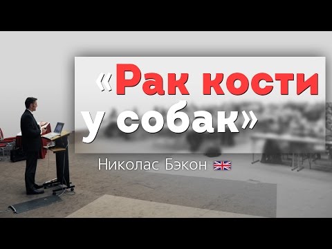 Видео: Рак суставов (синовиальная саркома) у собак