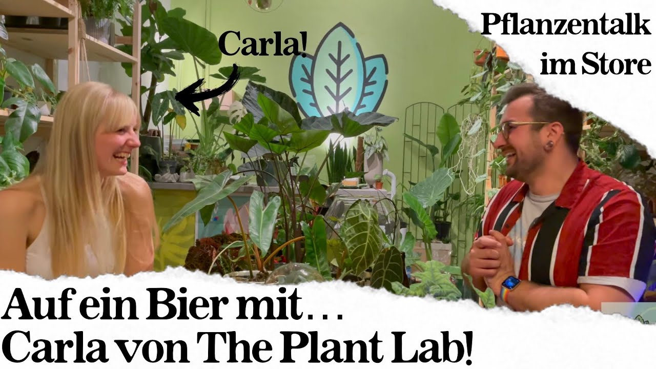 Pflanzen-Talk mit: Carla von 'The Plant Lab'