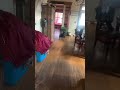 My dog won’t go to the bathroom