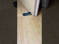 3D printed door stopper