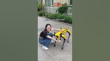 Những việc bạn có thể làm khi sống cùng Robot #shorts