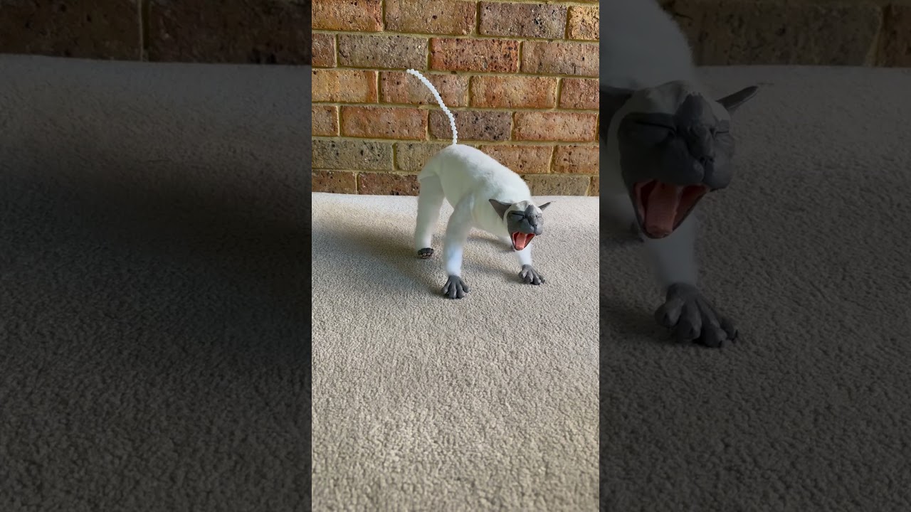 We’re at the best stage of the artdolls! 