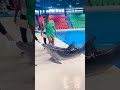 FISH&👏👆🐬😱🤣💞🚀#fishing #fishstarter #shortvideofish #shortsfisheavideo🌊 #shortvideo #🌊👏👆🐬😱🤣💞🚀