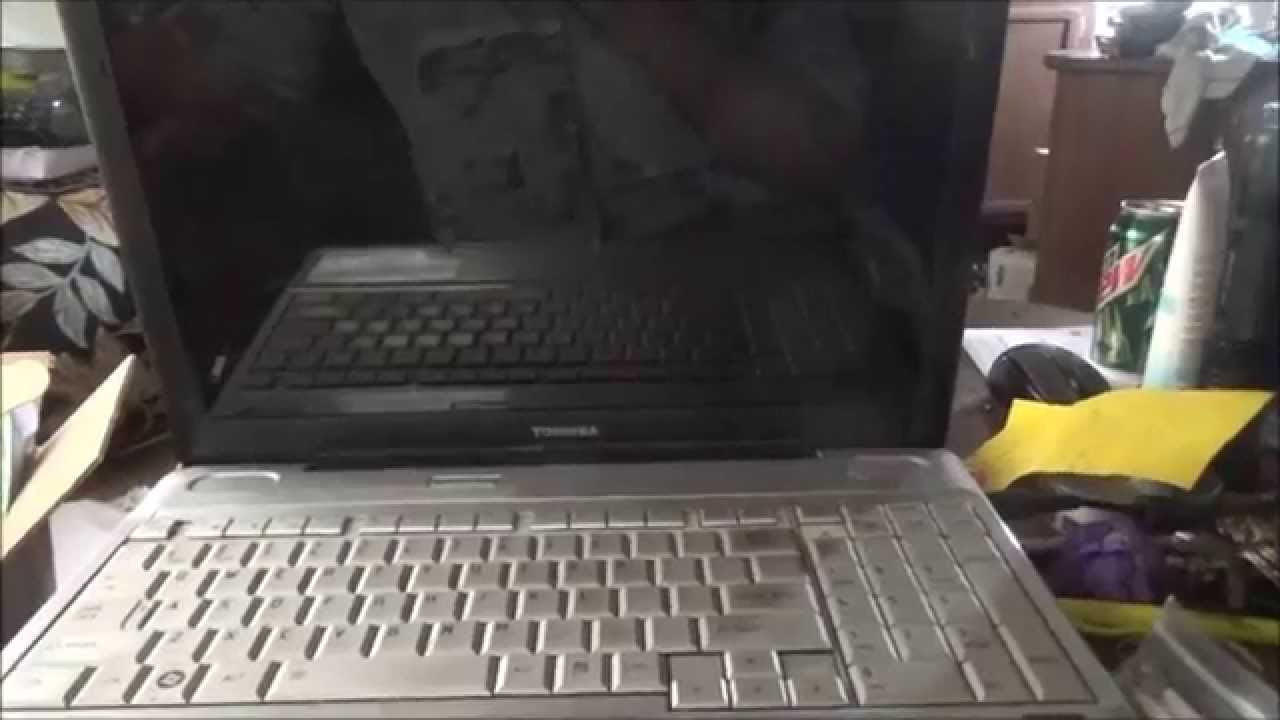 Faraday Cage Laptop - L2survive with Thatnub