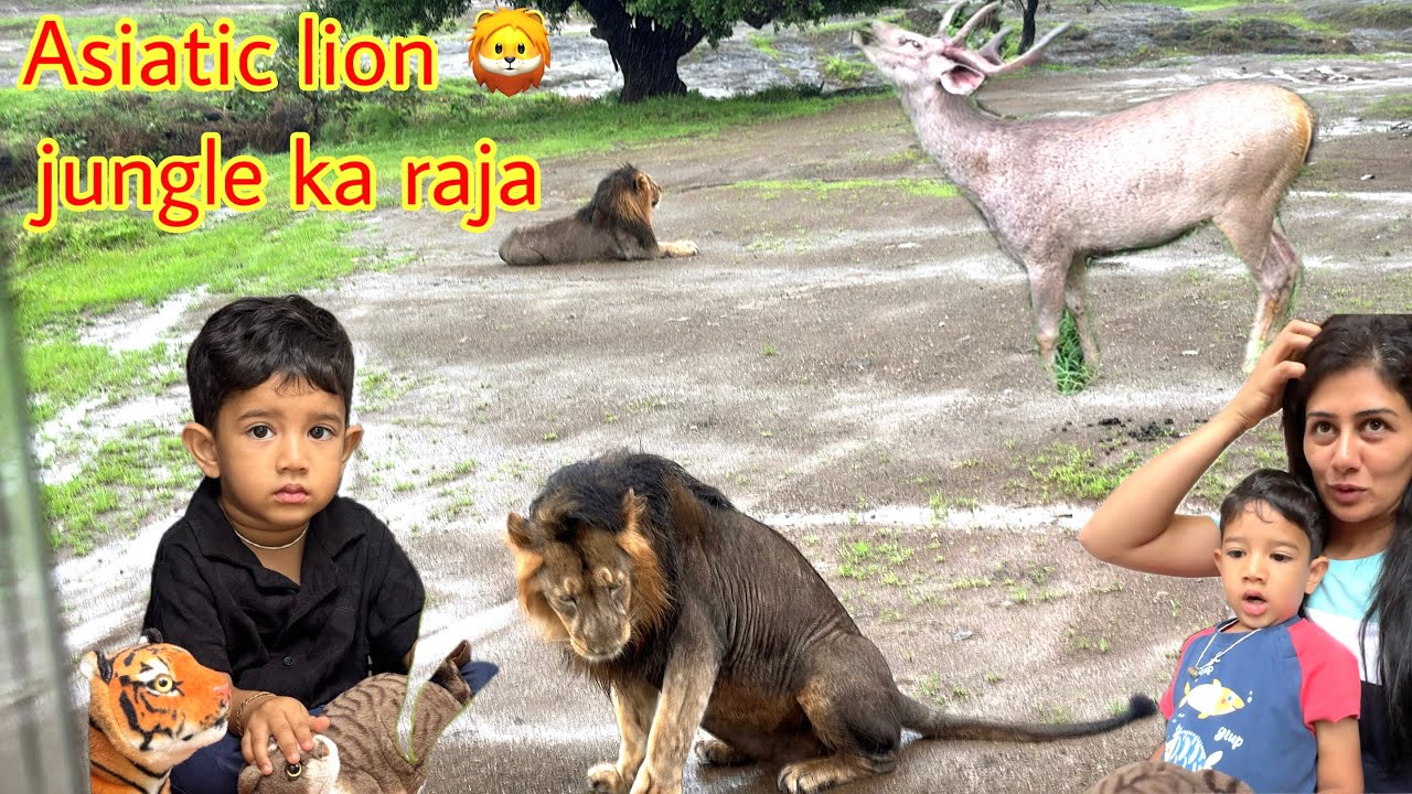 2 lions mile ajj hame