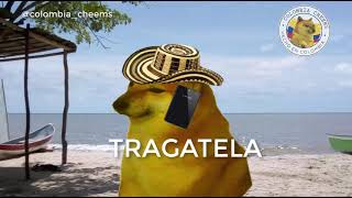 Alo Con Dorian? Cheems