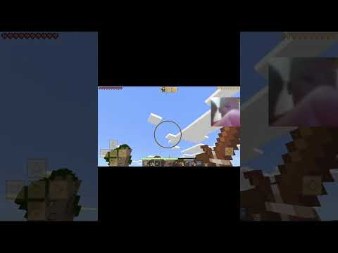 chơi minecraft fake vì ko có tiền :)