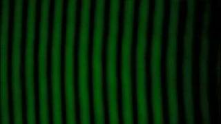 Michalson Interferogram analysis (vertical)