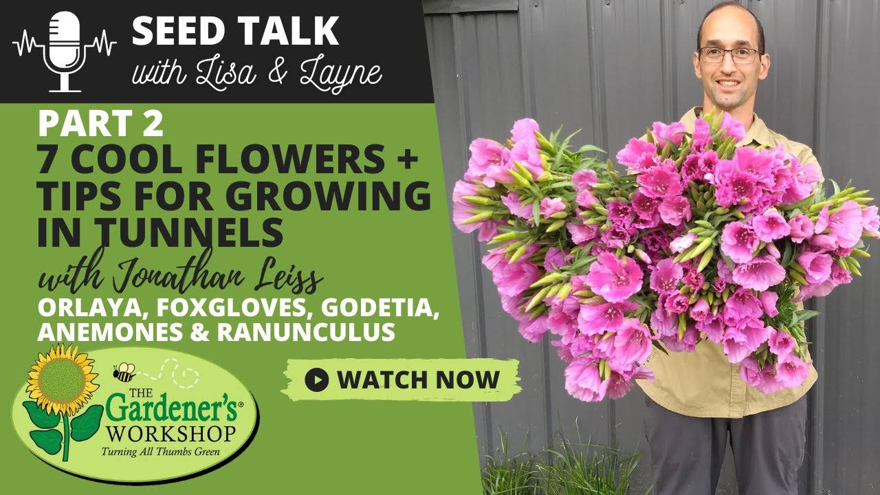 Seed Talk 54 7 Cool Flowers Plus Tips for Growing in Tunnels, Part 2