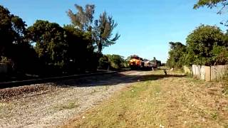 FEC 141 (Christmas train)