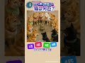 99%間違える猫は何匹？