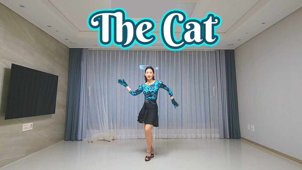 The Cat Line Dance / Beginner YouTube