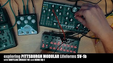 Exploring sound of Pittsburgh Modular Lifeforms SV-1b sequenced by SQ-1 and moistened by Everest II.