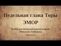 Недельная глава Торы ЭМОР. Передача 2. Каббалистический комментарий.  Михаэль Лайтман