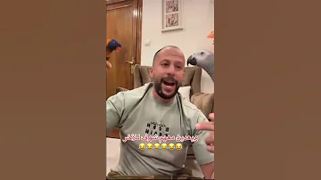 طوشة بين كركر وزعر الطيور 
