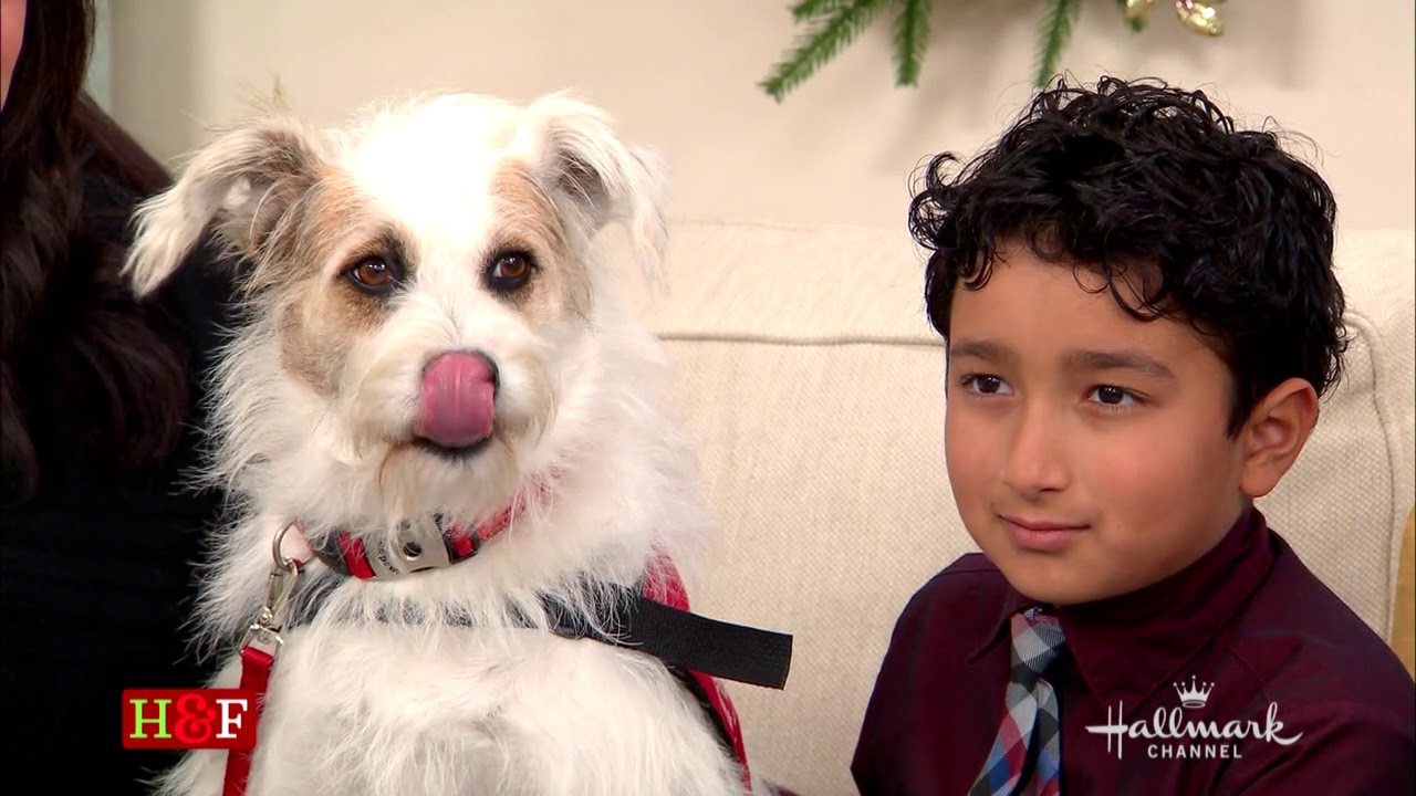 Larissa Wohl and Happy the Dog