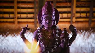 The Journey to Wellness | Amuna Ayurveda & Wellness Retreat