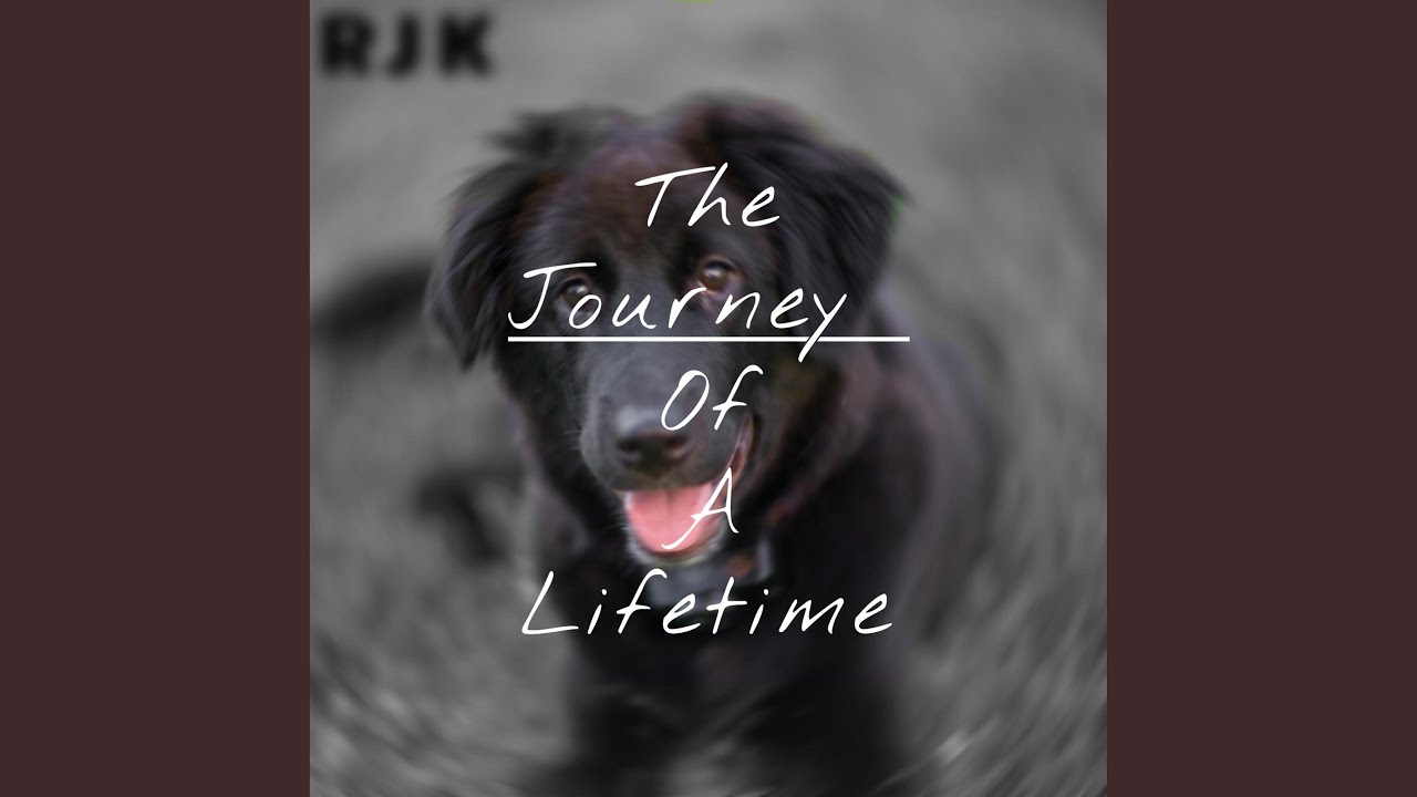 The Journey Of A Lifetime