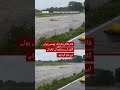 Firefighters rescue baby deer from fast-moving flood water - BBC URDU