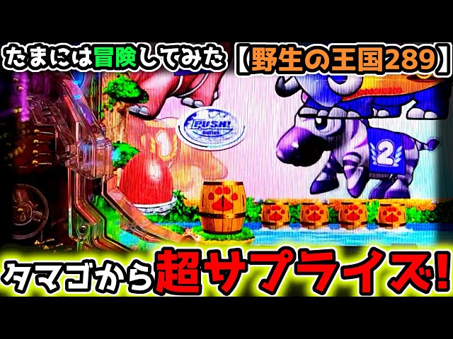 タマゴの中身が超サプライズだった件