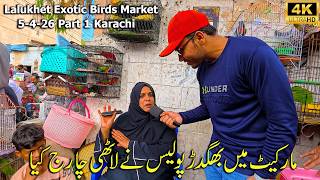 Lalukhet Exotic Birds Market 5-4-26 Part 1 Karachi | Hen and Rooster and Unique and Rare Birds