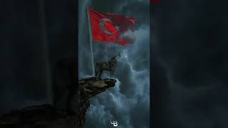 Bozkurt Ordusu 🐺🐺🐺🐺